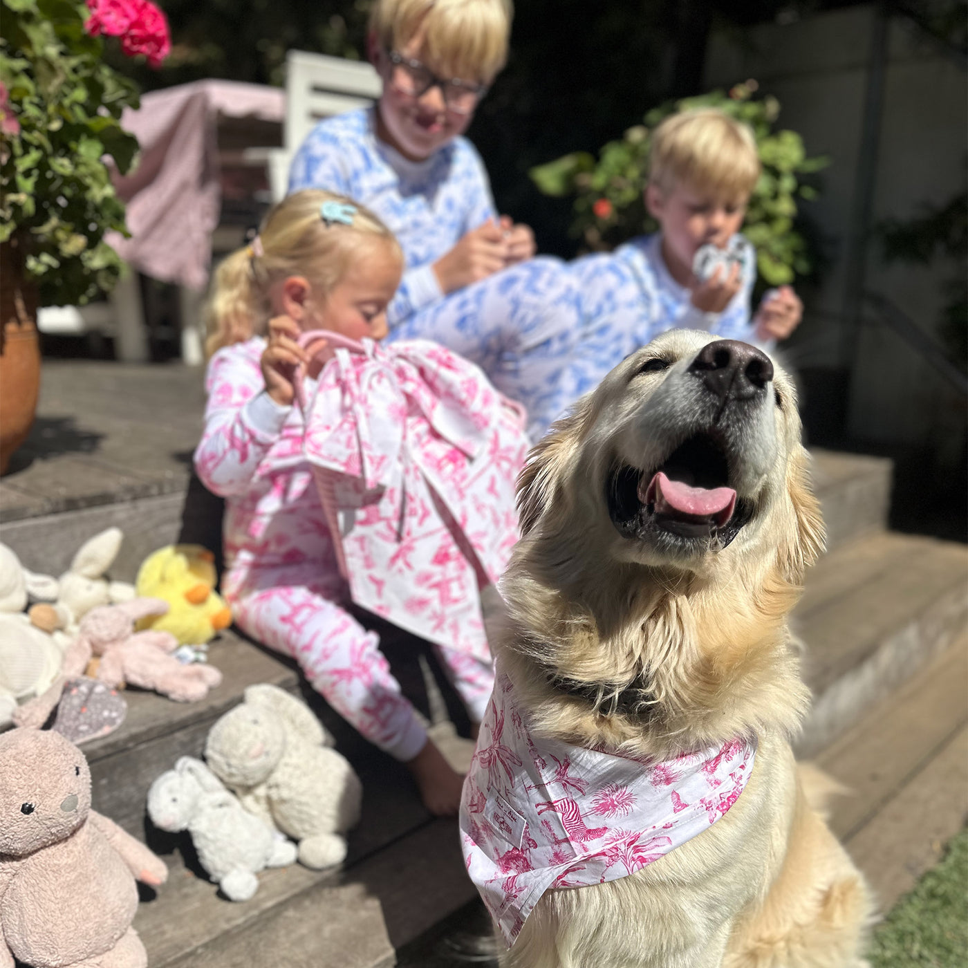 Kids Skydog Pink Toile Long PJ Set