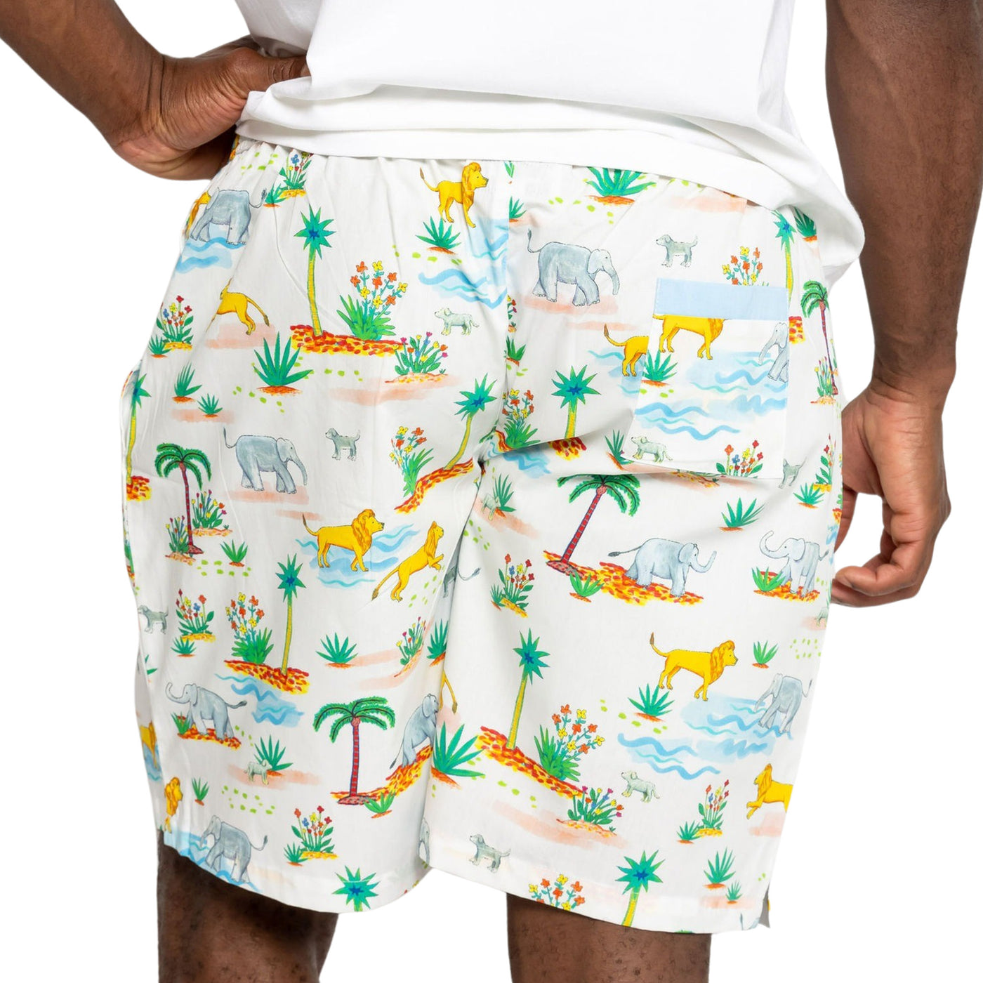 Men's Trunks Up Sleep Shorts