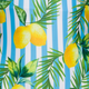 Men's Parker Lemon Stripe Swim Shorts