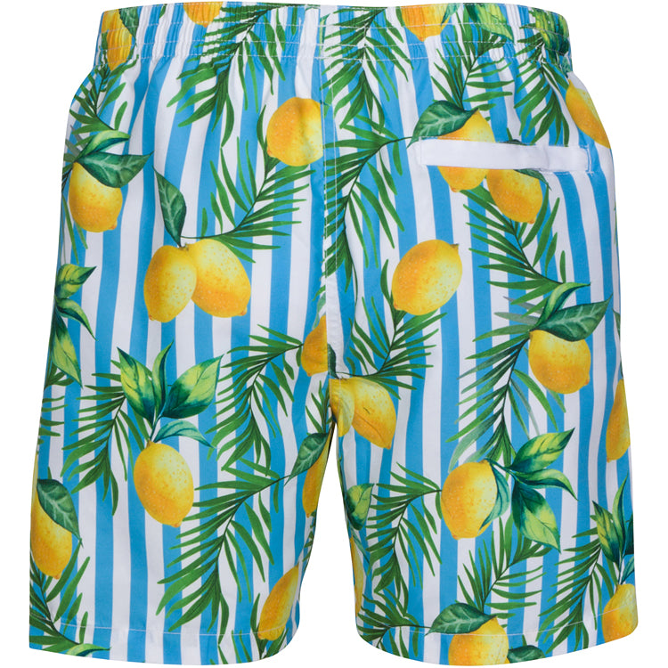 Men\'s Lemon Stripe Swim Shorts | Pajamas and Swimwear | Sant and Abel