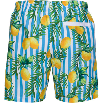 Men's Parker Lemon Stripe Swim Shorts